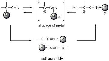  炭素―および窒素結合型遷移金属シアノカルバニオン：フェニルアセトニトリルアニオンのルテニウムCp錯体の合成と相互変換