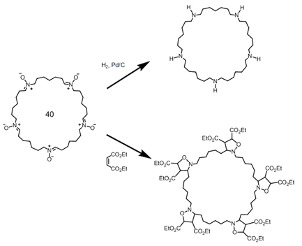 図５　新物質大環状ポリニトロンの分子変換